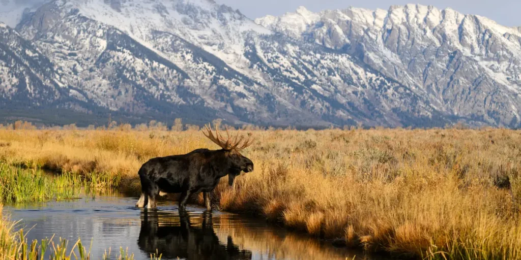 10 Most Visited National Parks Are Open During the Government Shutdown 10 Most Visited National Parks Are Open During the Government Shutdown
