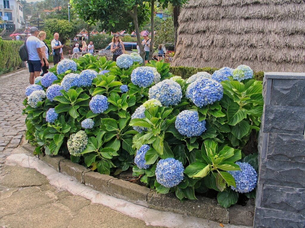 Hawking Portfolio Review: 3 October, 2025 Hawking Portfolio Review: 3 October, 2025