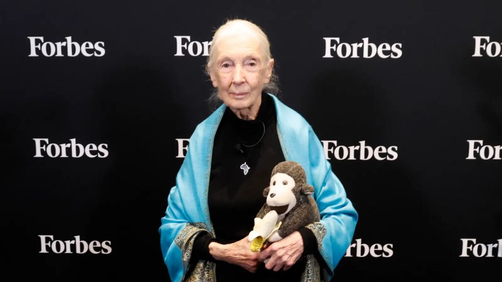 Jane Goodall Criticized Musk And Trump In Last Major Interview Before Her Death Jane Goodall Criticized Musk And Trump In Last Major Interview Before Her Death