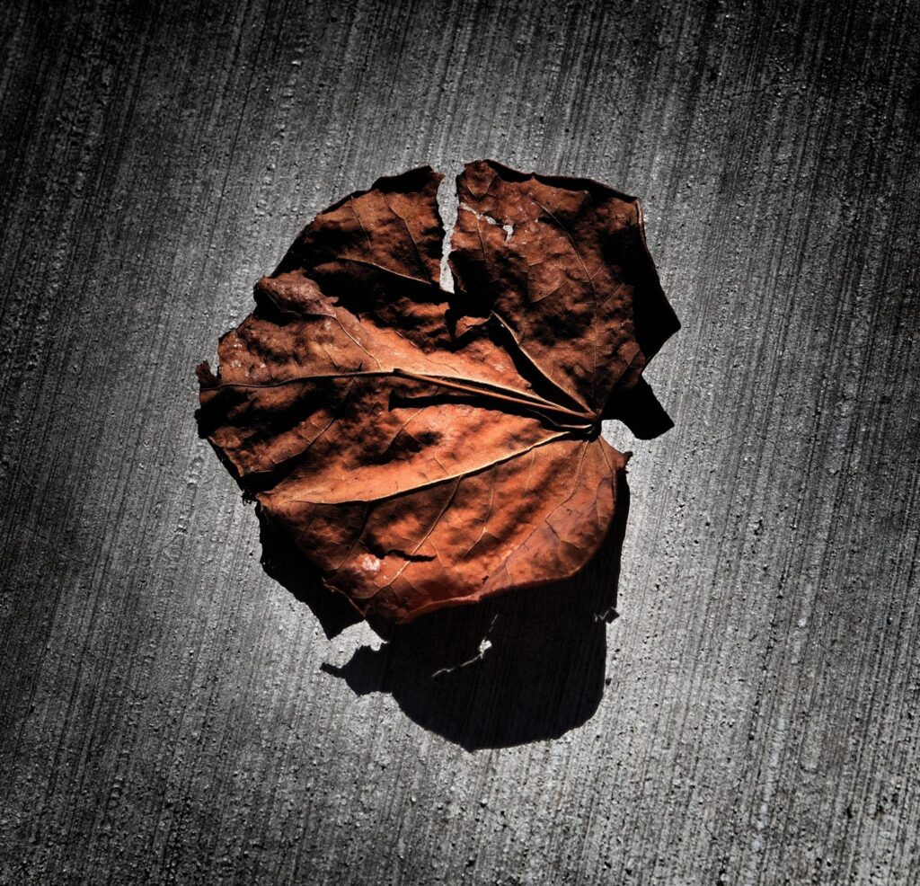 McClintock Sector BPI Portfolio Review: 9 October 2025 McClintock Sector BPI Portfolio Review: 9 October 2025