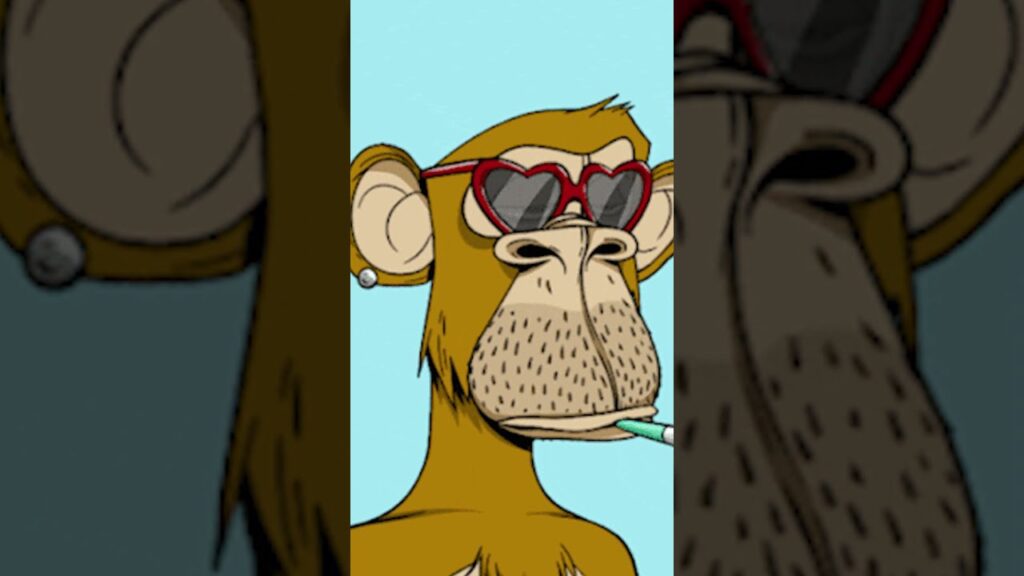 WHY IS OPENSEA SO POPULAR?