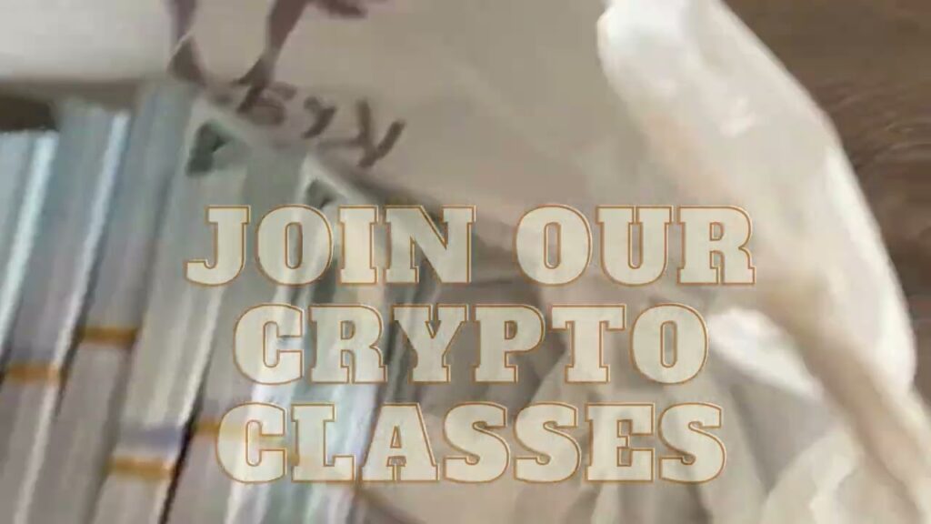 WHY YOU SHOULD JOIN MONSTER?